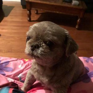 Meet your Posher, Kim